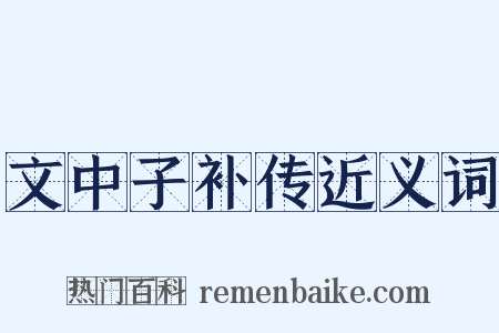 文中子补传近义词是什么意思的图片
